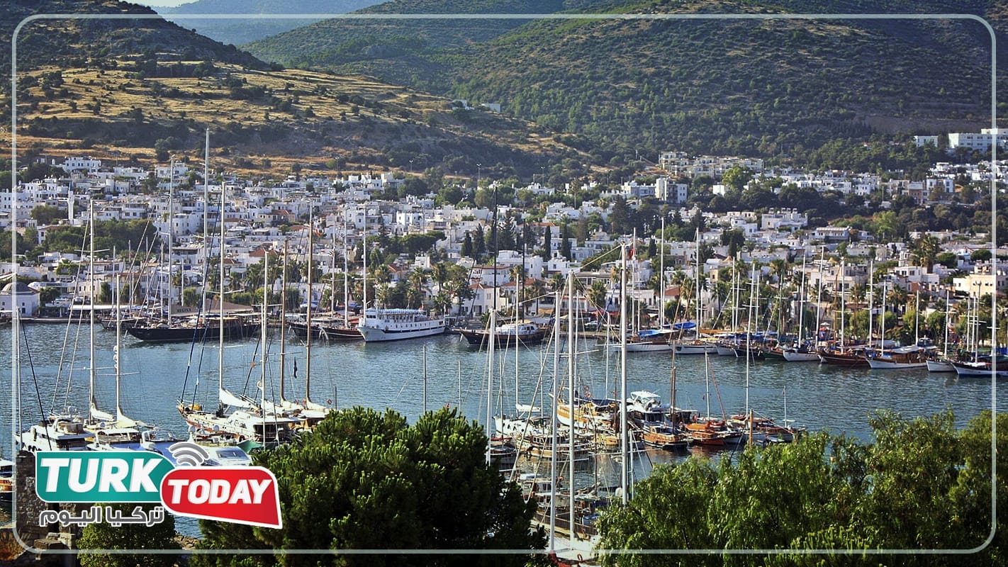 معلومات عن بودروم