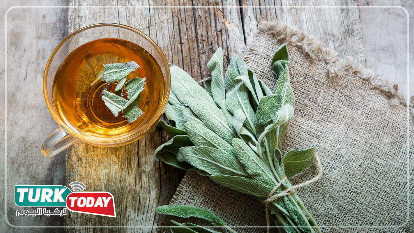 شاي المريمية (شاي الرويبوس)