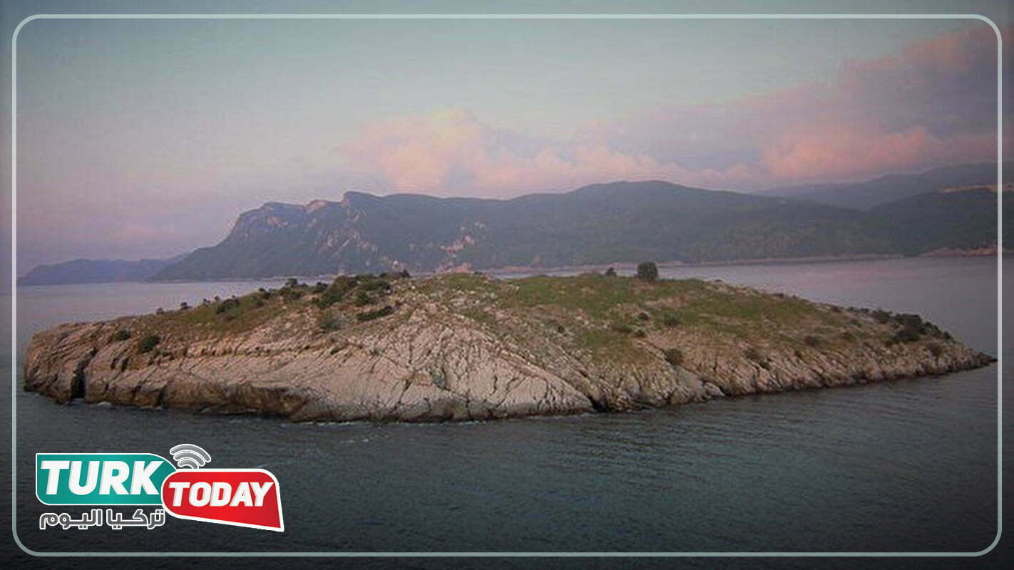 Tavşanadası Neandros