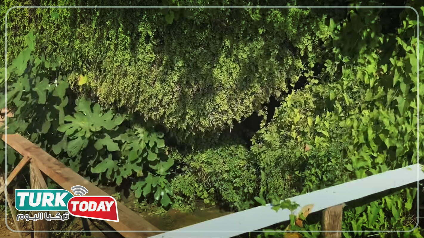 الصخرة الباكية في شيلا Ağlayan kaya