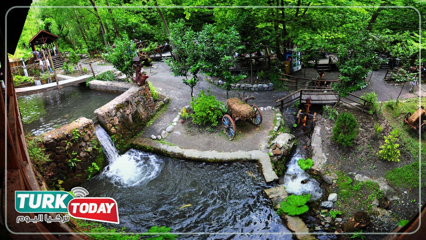 معلومات عن صبنجة ومعشوقية