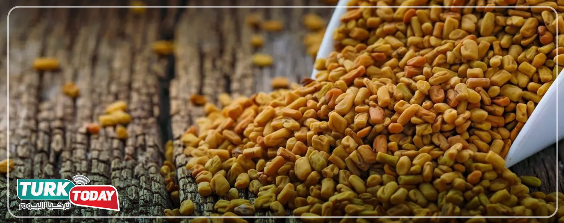 فوائد الحلبة الصحية للجسم