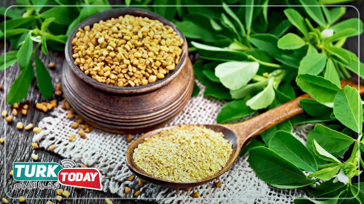 فوائد الحلبة للحامل