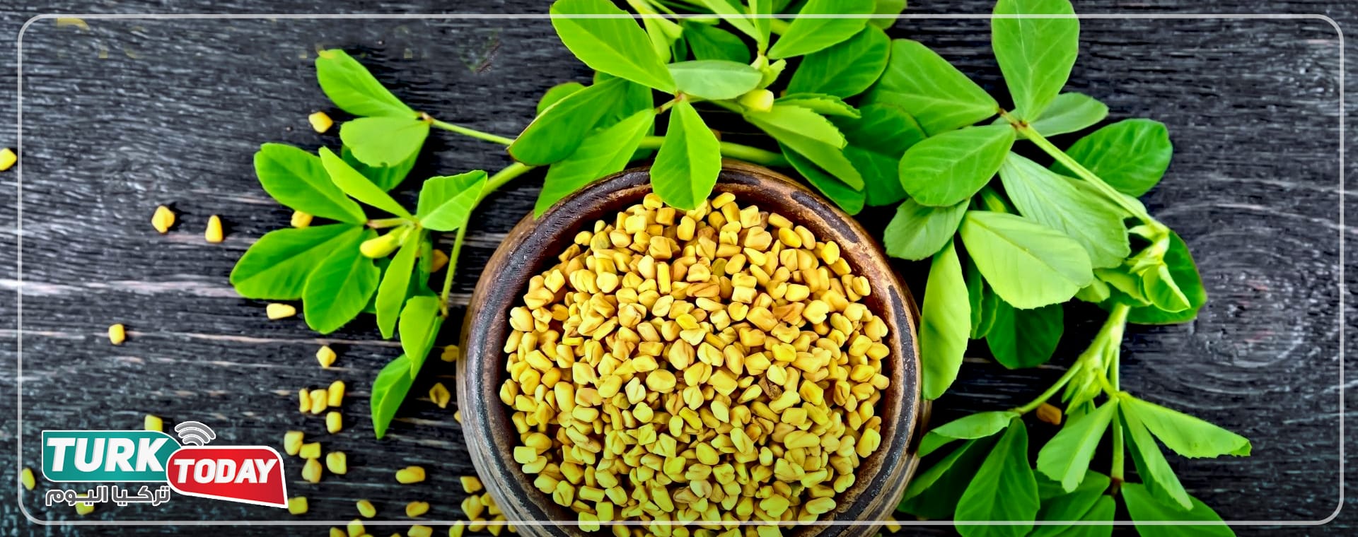 فوائد الحلبة للرجال