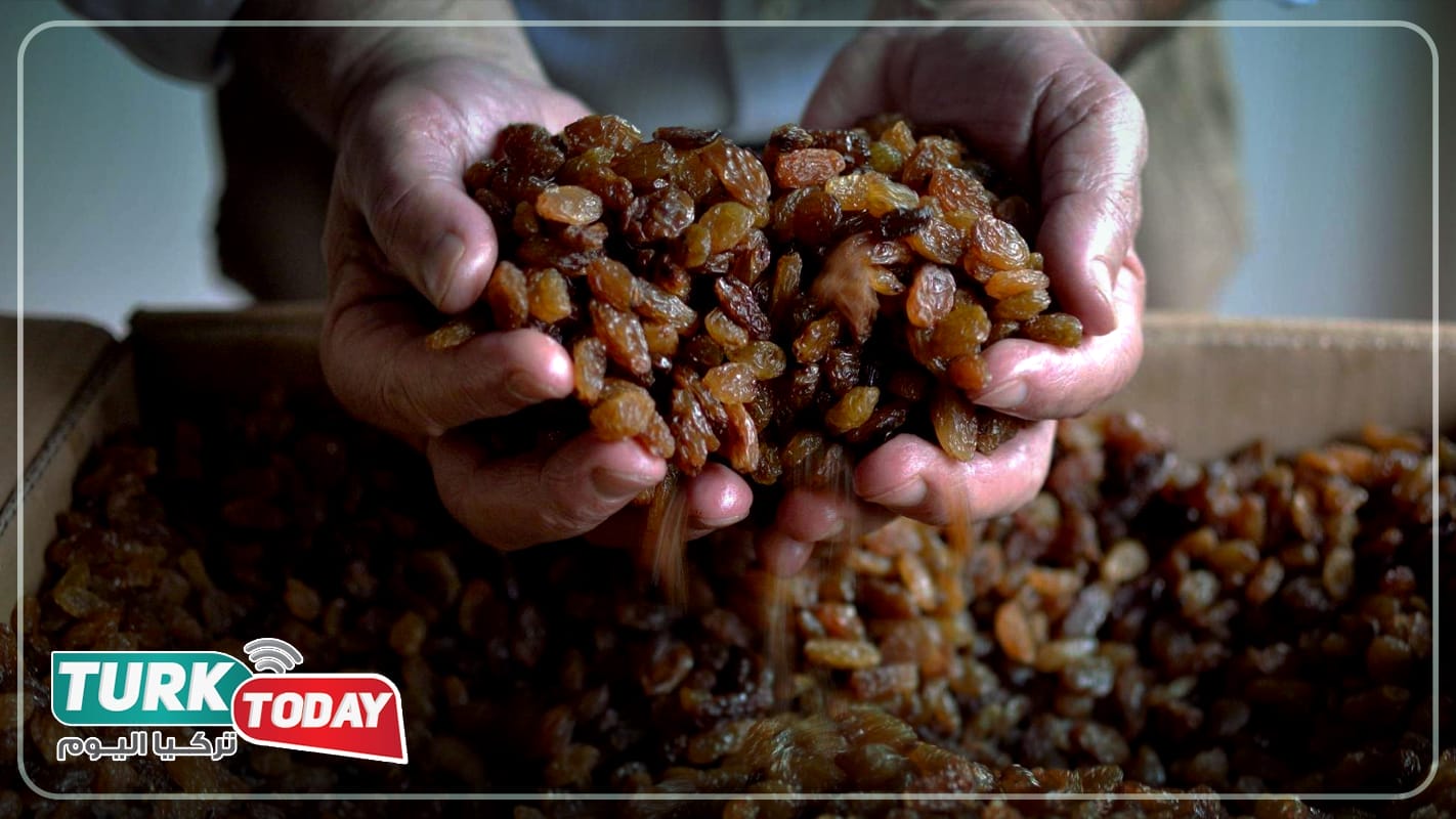 ما هو الزبيب؟