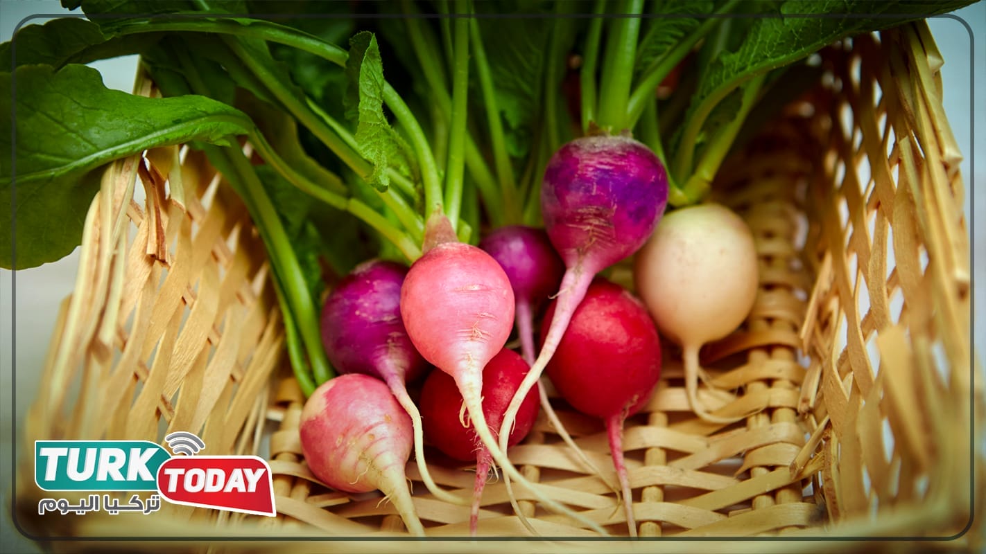 ماهو الشلغم؟