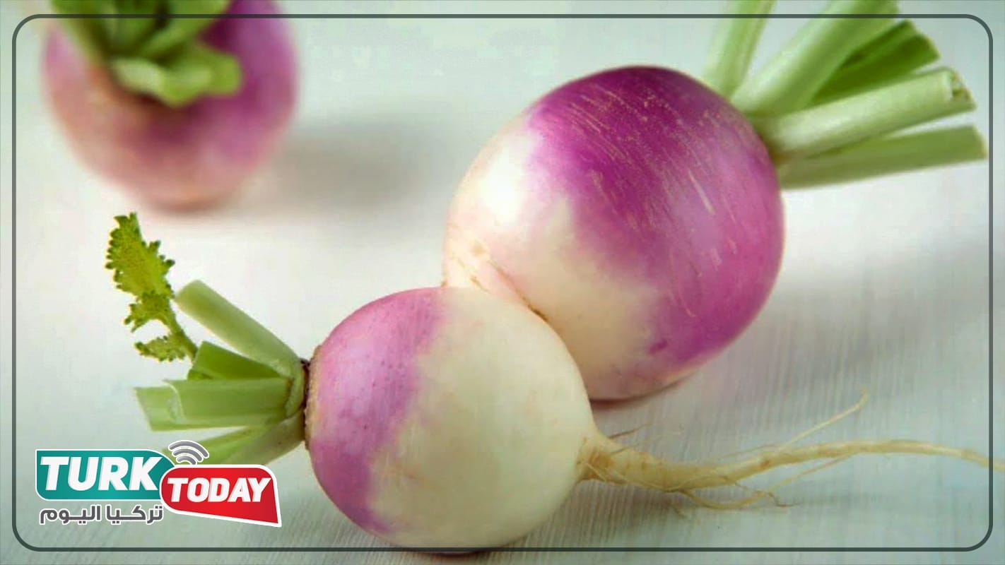 مميزات الشلغم