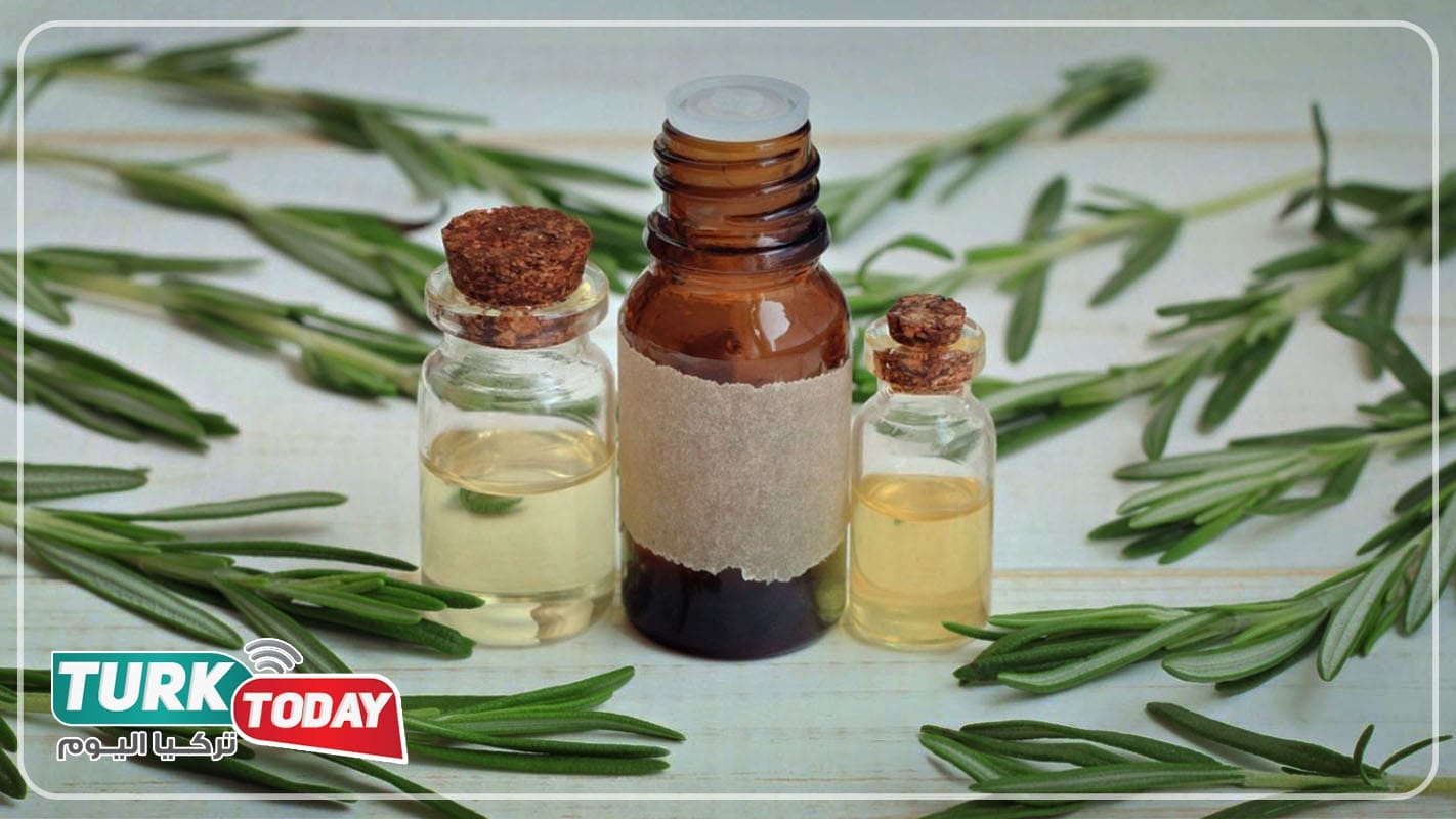 ما هو إكليل الجبل؟