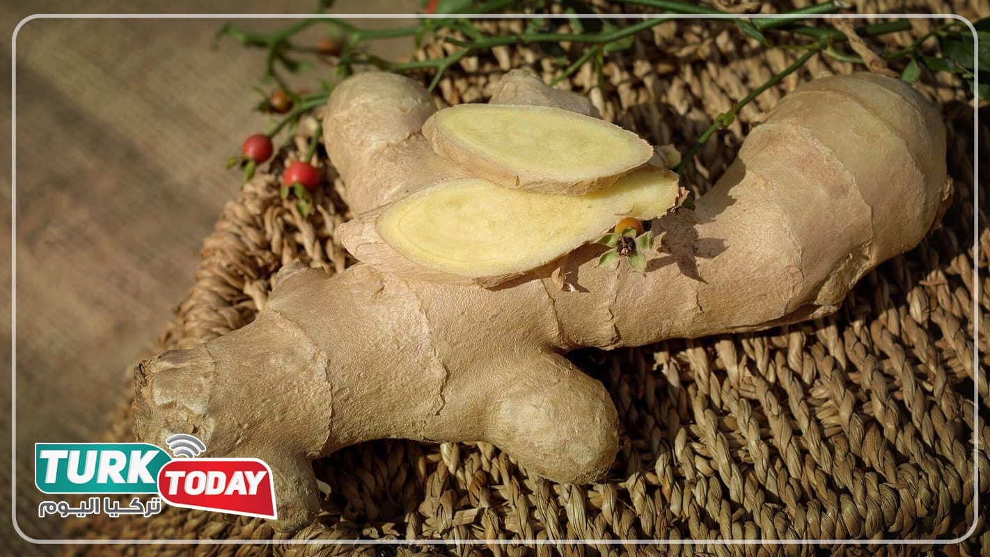 أنواع الزنجبيل