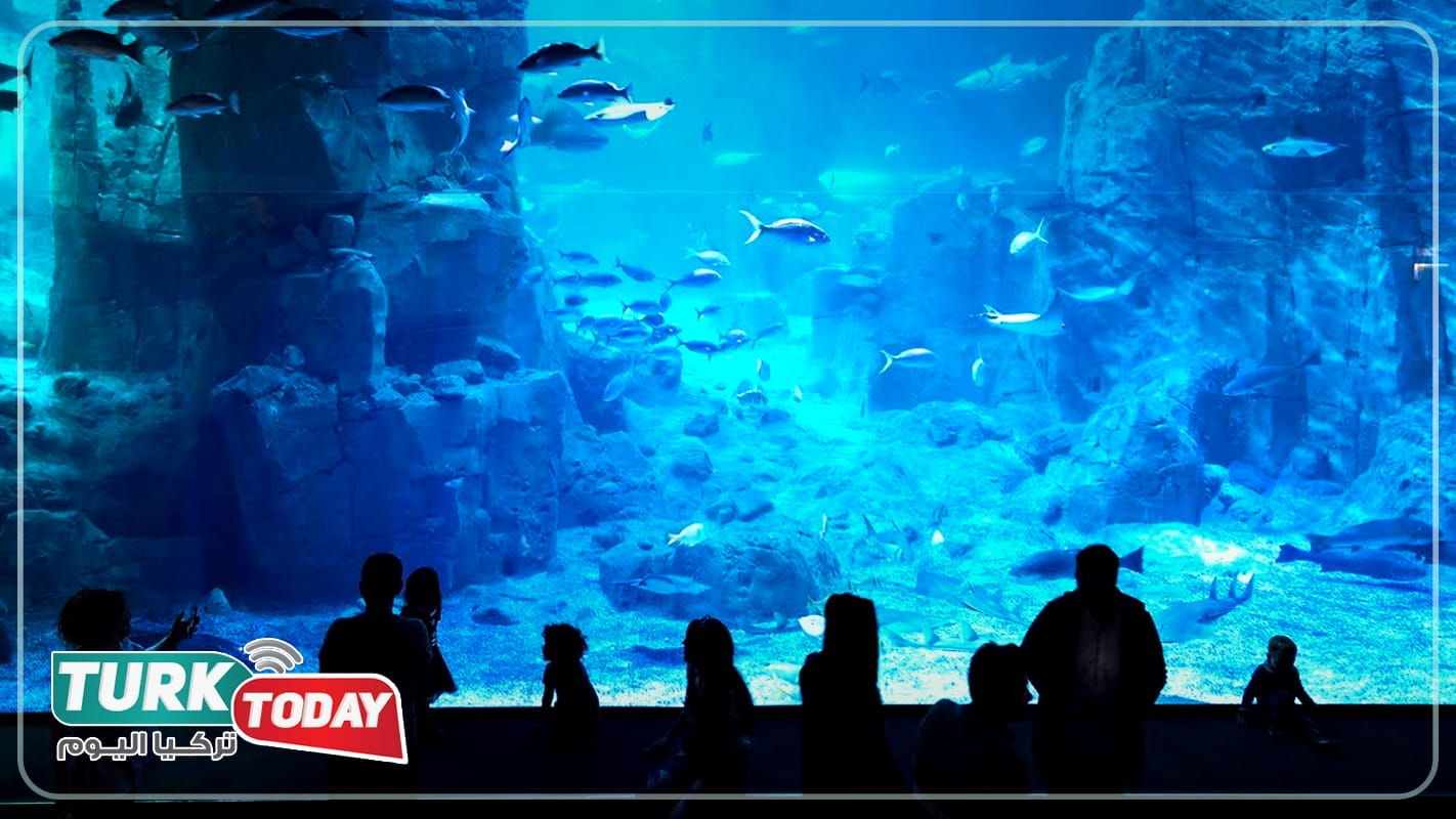 أكواريوم اسطنبول في فلوريا